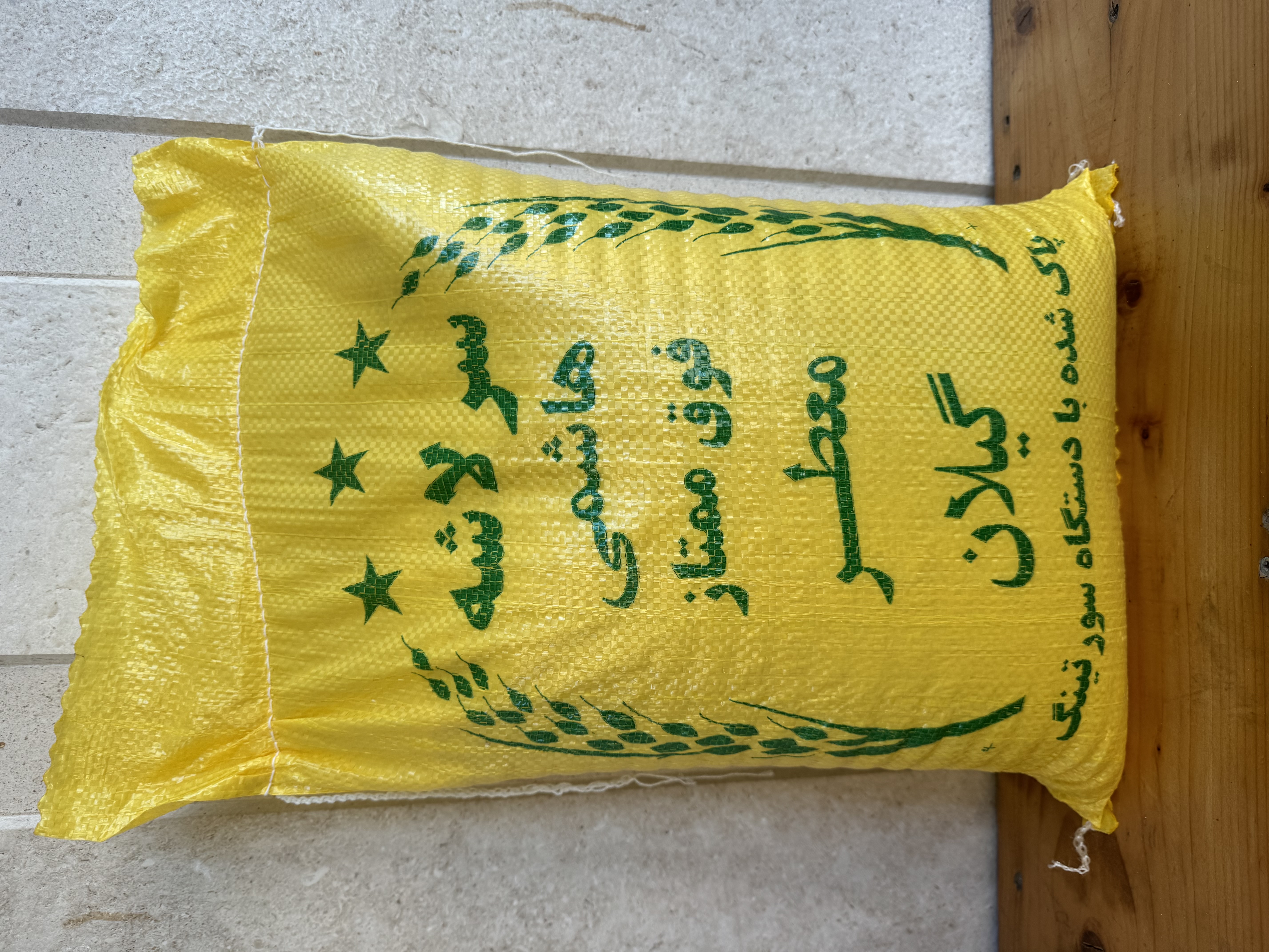سرلاشه هاشمی